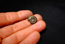 Load image into Gallery viewer, Crucilobiceras pyrite ammonite (16 mm)
