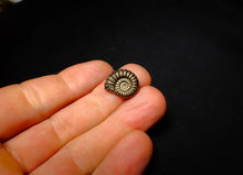 Load image into Gallery viewer, Promicroceras pyritosum ammonite (16 mm)
