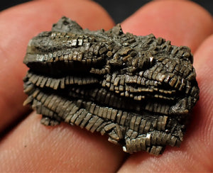 Detailed little 3D crinoid stem fossil (25 mm)