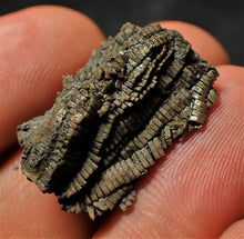 Load image into Gallery viewer, Detailed little 3D crinoid stem fossil (25 mm)
