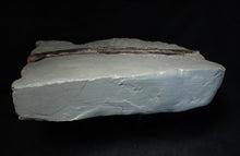 Load image into Gallery viewer, Large Jurassic ichthyosaur rib from Lyme Regis
