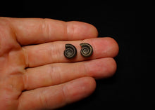 Load image into Gallery viewer, Matched pair of Crucilobiceras pyrite ammonite fossil (13 mm)
