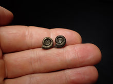 Load image into Gallery viewer, Matched pair of Crucilobiceras pyrite ammonite fossil (11 mm)
