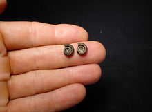 Load image into Gallery viewer, Matched pair of Crucilobiceras pyrite ammonite fossil (10 mm)
