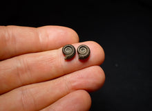 Load image into Gallery viewer, Matched pair of Crucilobiceras pyrite ammonite fossil (10 mm)
