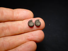 Load image into Gallery viewer, Matched pair of Crucilobiceras pyrite ammonite fossil (10 mm)
