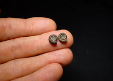 Load image into Gallery viewer, Matched pair of Crucilobiceras pyrite ammonite fossil (10 mm)
