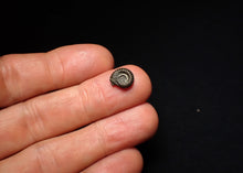 Load image into Gallery viewer, Crucilobiceras pyrite ammonite fossil (10 mm)
