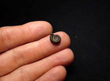 Load image into Gallery viewer, Crucilobiceras pyrite ammonite fossil (11 mm)
