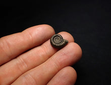 Load image into Gallery viewer, Crucilobiceras pyrite ammonite fossil (16 mm)
