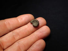 Load image into Gallery viewer, Crucilobiceras pyrite ammonite fossil (14 mm)
