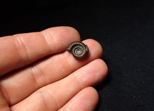 Load image into Gallery viewer, Crucilobiceras pyrite ammonite fossil (15 mm)
