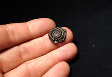 Load image into Gallery viewer, Crucilobiceras pyrite ammonite fossil (18 mm)

