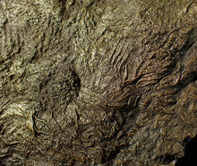 Load image into Gallery viewer, Huge uncommon pyrite crinoid colony fossil Pentacrinites (325 mm)
