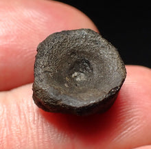 Load image into Gallery viewer, Jurassic ichthyosaur bone (vertebra) from Lyme Regis (14mm)
