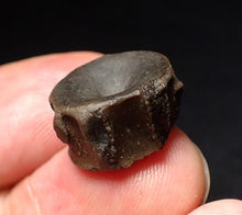 Load image into Gallery viewer, Jurassic ichthyosaur bone (vertebra) from Lyme Regis (15mm)
