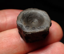 Load image into Gallery viewer, Jurassic ichthyosaur bone (vertebra) from Lyme Regis (19mm)
