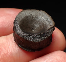Load image into Gallery viewer, Jurassic ichthyosaur bone (vertebra) from Lyme Regis (19mm)
