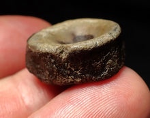 Load image into Gallery viewer, Jurassic ichthyosaur bone (vertebra) from Lyme Regis (21mm)
