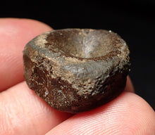 Load image into Gallery viewer, Jurassic ichthyosaur bone (vertebra) from Lyme Regis (21mm)

