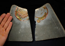 Load image into Gallery viewer, Rainbow iridescent popped Caloceras display ammonite fossil
