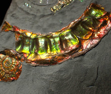 Load image into Gallery viewer, Rainbow iridescent popped Caloceras display ammonite fossil
