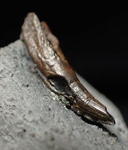 Load image into Gallery viewer, Jurassic ichthyosaur tooth from Lyme Regis (18mm)
