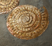 Load image into Gallery viewer, Uncommon double-iridescent Caloceras display ammonite fossil
