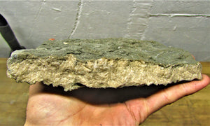 Large complete pyrite crinoid (185 mm) <em>Pentacrinites</em>