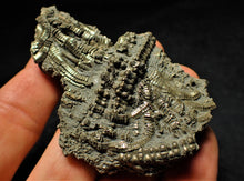 Load image into Gallery viewer, Detailed chunky pyrite crinoid  fossil (71 mm)
